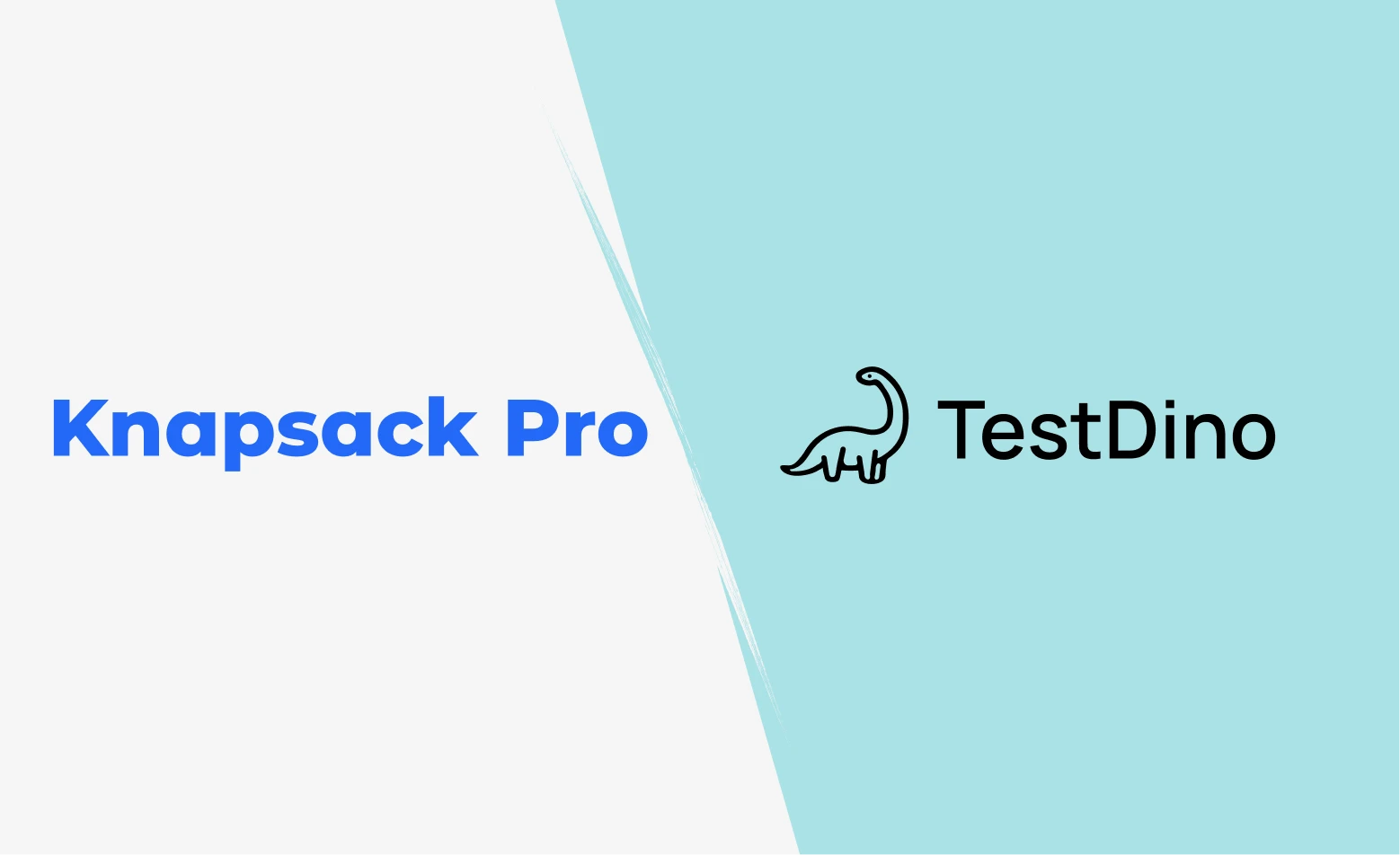 Knapsack Pro Alternative, Knapsack Pro Review, Knapsack Pro Comparison, Knapsack Pro vs TestDino